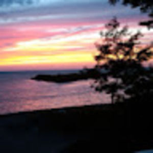 Meet your Posher, Bobbie